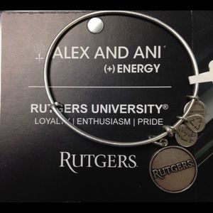 Alex and Ani braclet